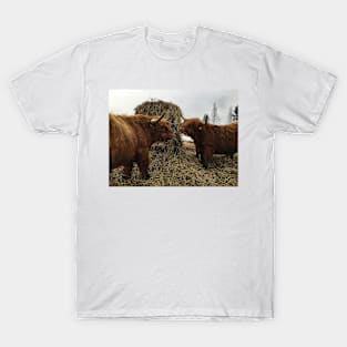 Scottish Highland Cattle Bulls 2341 T-Shirt